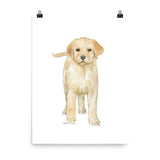 Yellow Labrador Puppy Dog Watercolor