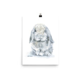 Mini Lop Rabbit Watercolor