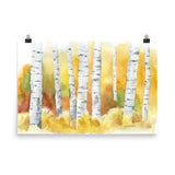 Birch Trees Watercolor Print