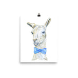 Llama with a Tie Watercolor