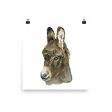 Baby Donkey Watercolor Poster