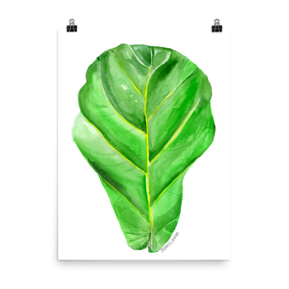 Fiddle Leaf Fig Watercolor