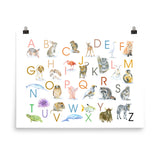 Animal Alphabet Poster Watercolor - Horizontal