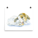 Goat Lying Down Watercolor