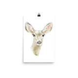 Doe Deer Watercolor