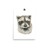 Baby Raccoon Face Watercolor