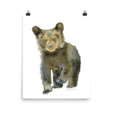 Black Bear Cub Watercolor