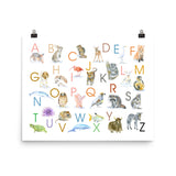 Animal Alphabet Poster Watercolor - Horizontal