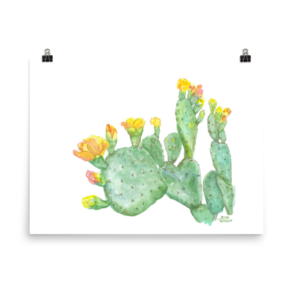 prickly pear cactus watercolor Prickly Pear Cactus Watercolor