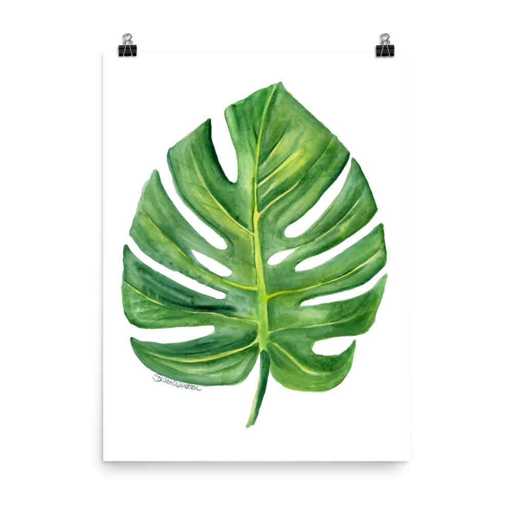 Monstera Leaf Watercolor – Susan Windsor