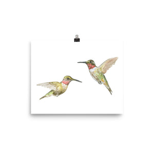 Ruby Throated Hummingbirds Watercolor