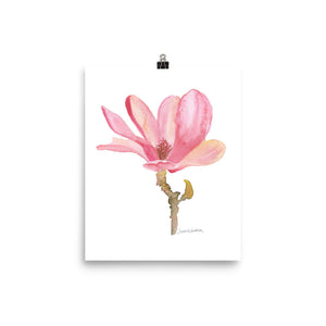 Pink Magnolia Flower Watercolor