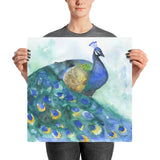 Peacock 2 Watercolor