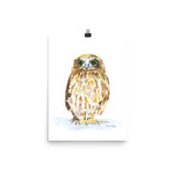 Burrowing Owl Watercolor