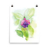 Fuchsia Watercolor Floral