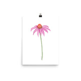 Coneflower Watercolor Print