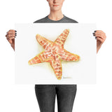 Sea Star Starfish Watercolor