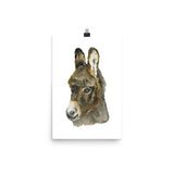 Baby Donkey Watercolor Poster