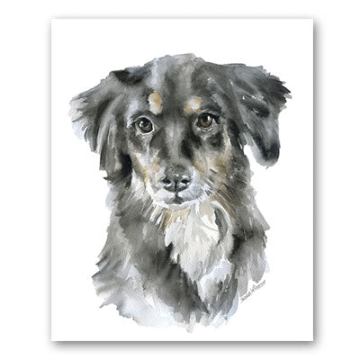 Original Paintings