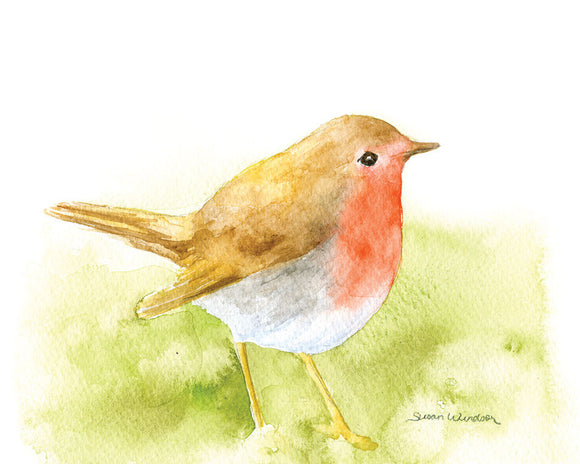 Birds