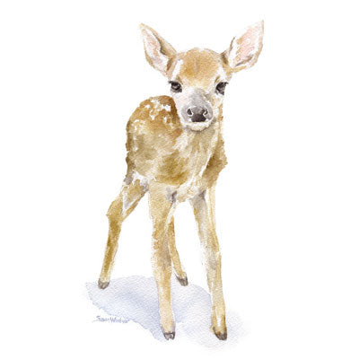 Woodland Animals
