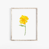 Yellow Buttercup Wildflower Watercolor Fine Art Print Poster