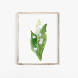 Lily of the Valley Watercolor Floral Fine Art Poster Print