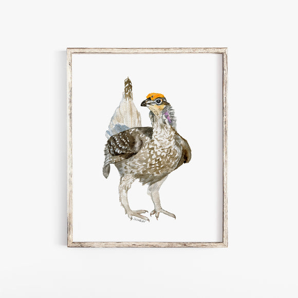 Prairie Grouse Watercolor Fine Art Print