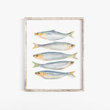 Sardines Watercolor Fine Art Large Poster - Unframed