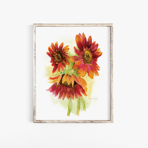 Orange Red Sunflowers Watercolor Poster