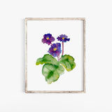 Violets Floral Watercolor Fine Art Poster - Unframed