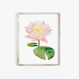 Waterlily Watercolor Fine Art Large Poster Art Print - UNFRAMED