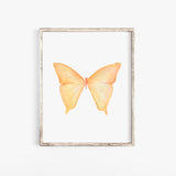 Yellow Butterfly Pastel Watercolor Fine Art Poster