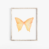 Pastel Butterfly Watercolor Art Print Set of 4 - Girls Room Wall Art