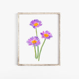 Aster Flowers Watercolor Fine Art Poster Print - UNFRAMED