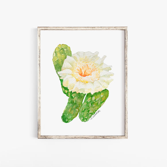 Saguaro Cactus Blossom Watercolor Fine Art Print UNFRAMED Poster