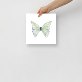 Green Butterfly Pastel Watercolor Fine Art Poster