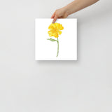 Yellow Buttercup Wildflower Watercolor Fine Art Print Poster