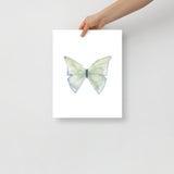 Green Butterfly Pastel Watercolor Fine Art Poster