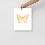 Yellow Butterfly Pastel Watercolor Fine Art Poster