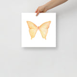 Yellow Butterfly Pastel Watercolor Fine Art Poster