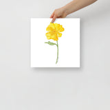 Yellow Buttercup Wildflower Watercolor Fine Art Print Poster