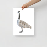 Canadian Goose Watercolor