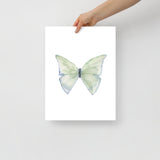 Green Butterfly Pastel Watercolor Fine Art Poster