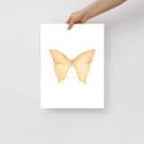 Yellow Butterfly Pastel Watercolor Fine Art Poster