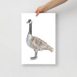 Canadian Goose Watercolor