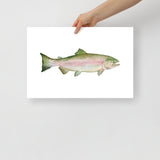 Pink Salmon Fish Watercolor Poster