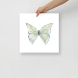 Green Butterfly Pastel Watercolor Fine Art Poster