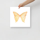 Yellow Butterfly Pastel Watercolor Fine Art Poster