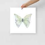 Green Butterfly Pastel Watercolor Fine Art Poster